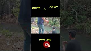 NGERII GACOR VS BONCOZZ viralvideo mancing mancingikanwaderdirawa fishing [upl. by Ille]