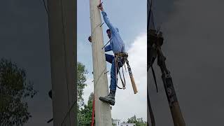 Lineman climbing video [upl. by Adlanor]