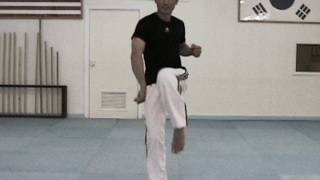 Taekwondo Speed Kicking Tutorial  How To Kick Faster  TaekwonWoo [upl. by Cyrille]