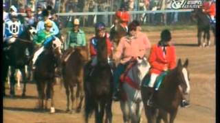 1978 Kentucky Derby  Affirmed vs Alydar [upl. by Yewed]