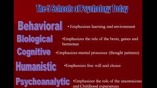 5 schools of psychology 12 minutes [upl. by Abelard889]