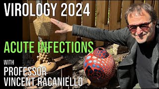 Virology Lectures 2024 16 Acute Infections [upl. by Nareht683]