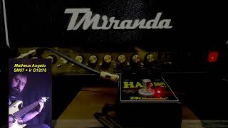 Tube Amp Frank Plx 100w  Judas Priest Fire Power  You Have Got  Painkiller Cover [upl. by Ahsal113]