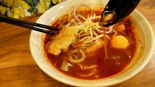 MELAKA FAMOUS FOOD Nyonya LAKSA amp CENDOL Halal  Food and Travel Channel  Melaka Malaysia [upl. by Ydassac]