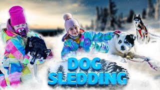 Dog Sledding in Mont Tremblant Quebec [upl. by Harikahs]