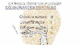 Fonética y Fonología del español El aparato fonador Diferencia entre sonido y signo [upl. by Camilo430]