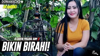 aaDUKI  Si CANTIK Penjual Kopi Bikin BIRAHI Tapi Bawa HOKI [upl. by Nauhs]