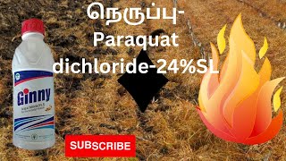 Paraquat Dichloride24SL அனைத்து களைகளின் எதிரி [upl. by Lesli]