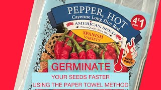 🌶️HOW TO GERMINATE PEPPER SEEDS USING THE PAPER TOWEL METHOD🌶️ [upl. by Haorbed195]