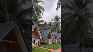 Best stay at Agonda Palm Beach Resort Goa [upl. by Jodoin460]