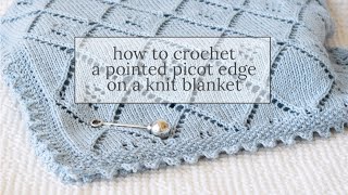 How to Crochet a Pointed Picot Edge on Blanket [upl. by Alekahs]