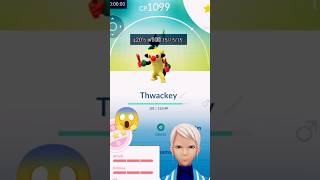 Super thwackey evolution 😱😱 short  viral  tranding  pokemon go [upl. by Wauters902]