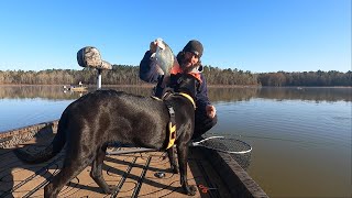 Livescoping prespawn crappie on Lake Greeson  spring break  part 1 of 2 [upl. by Aziaf]