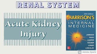 Acute Kidney Injury  Part 1 of 2  Etiology  Pathogenesis  Harrison [upl. by Aneehs402]