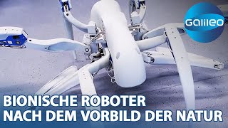 Bionische Helfer Die Zukunft der Robotertechnologie inspiriert durch die Natur [upl. by Zita523]