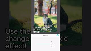 glow up your photos with sparkle overlays 🤩 [upl. by Barcellona777]
