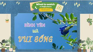 Bình yên mà VUI SỐNG  What to watch on Majita House 2311 [upl. by Aylatan]