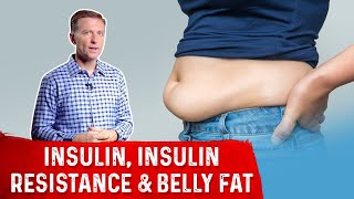 How Insulin Works – Insulin Resistance amp Belly Fat Simplified by DrBerg [upl. by Frayda]