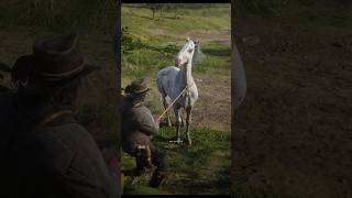 Appaloosa Few Spotted Location in rdr2 shorts rdr2 spdxstreamgaming rdr2guide [upl. by Glynda]