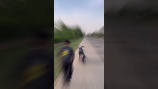 Bullet reaction 😻  shortsviral short bulletpatake royalenfield motogp superbike [upl. by Doe]