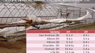 High Tunnels and Annual Growing Systems for Organic Strawberry [upl. by Sumerlin]