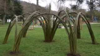 Building a willow cathedral  start to finish in 90 seconds [upl. by Wilen]