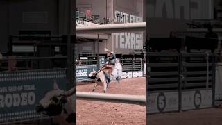 RANKEST BULLS rodeo Props to the bullriders and bullfighters texasstatefair [upl. by Leler128]