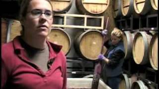 Winery  Wine  Making Wine in Colorado [upl. by Celestina]