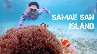 Samae San Island Snorkeling  Samaesarn  Sattahip  Pattaya [upl. by Dabney]