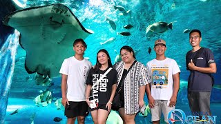 Tulya sa Manila Ocean Park 🦪 [upl. by Yelram933]