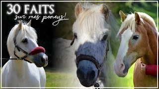 30 FAITS SUR MES PONEYS 🐴✨ [upl. by Lukasz]