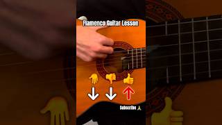 Flamenco Guitar Lesson for beginners [upl. by Kahl998]