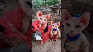 Lalla Lalla Lori dudh ki Katori Lalla Kare Tamasha😃😃😃😃😃🙊🙊🙊🙊🙊👈👈👈 funny cute viral short video [upl. by Eglantine40]