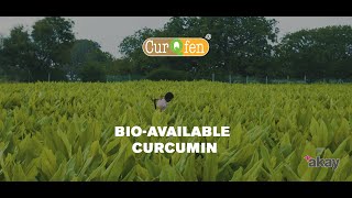 CurQfen ®  Beyond Bioavailability  Bio available curcumin [upl. by Thirion283]