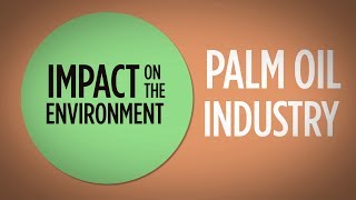 Palm Oil  Environment amp Deforestation [upl. by Eduino]