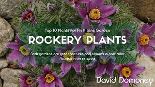 Top 10 Rockery Plants For Alpine Gardens [upl. by Htbazile]