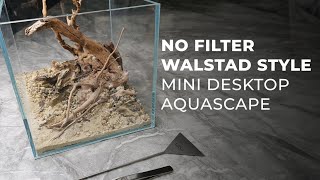 Low Tech Walstad Style Mini Desktop Aquarium [upl. by Dachi]