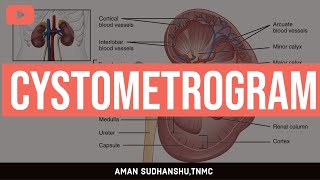 CYSTOMETROGRAM  RENAL PHYSIOLOGY  GK PAL  MUHS  AMAN SUDHANSHU  TNMC [upl. by Hanleigh617]