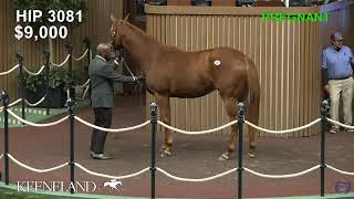 Keeneland Live Feed [upl. by Fox]