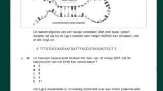 VWO biologie Examenuitleg 2013 tijdvak 2 vr 2329 [upl. by Grange]