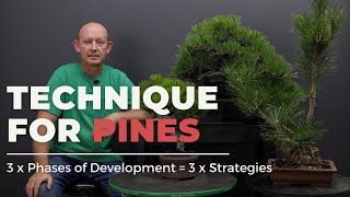 Essential Japanese Black Pine bonsai techniques [upl. by Notak]