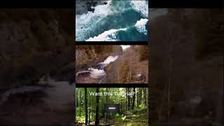 Inshot Multi Layer Video Short Preview tutorial inshotapp inshot [upl. by Htiek]