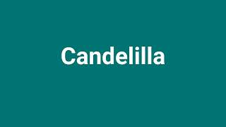 Candelilla Meaning and Pronunciation [upl. by Adelbert]