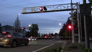 Trimet 211 East 205th Ave RR Crossing near Hillsboro OR [upl. by Barris493]