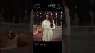 Lana Del Rey  Summertime Sadness slowed 08x  reverb [upl. by Errot670]