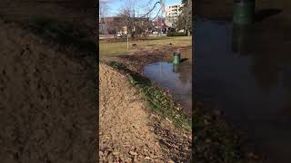 Traxxas xmaxx drives on water [upl. by Nisa]