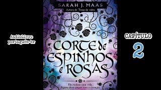 AUDIOLIVRO Corte de Espinhos e Rosas  Capítulo 2 [upl. by Benjie]