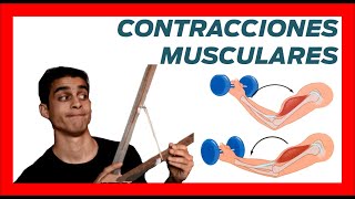 💪 Tipos CONTRACCIONES MUSCULARES ❗❗ Ejemplos concentricas y excentricas [upl. by Ithsav]