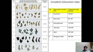 Microfossils as Thermal Metamorphic Indicators [upl. by Kajdan]