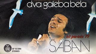 Saban Saulic  Stari kocijas  Audio 1979 [upl. by Amora]